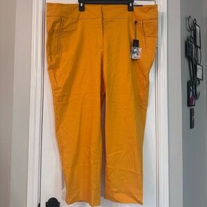 Lane Bryant Women's Vibrant Orange Ankle Pants
